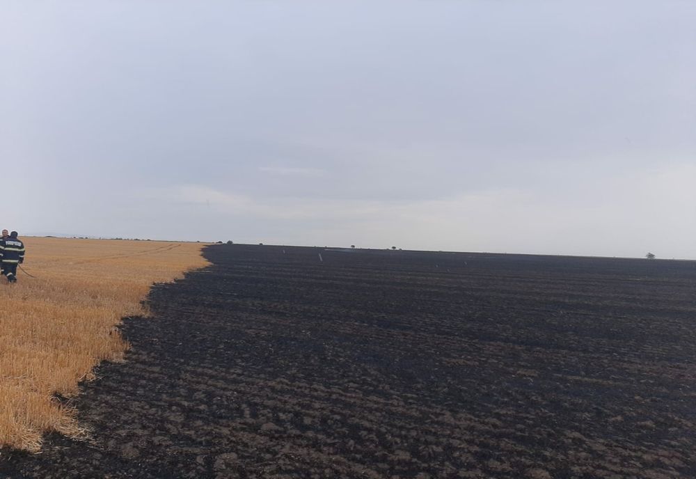10 hectare de culturi și miriști de grău făcute scrum în Malu Roșu. Foc pus intenționat