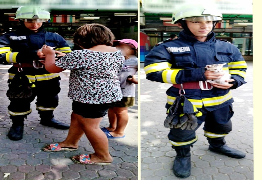 Pui de pisică salvat de pompierii ialomițeni