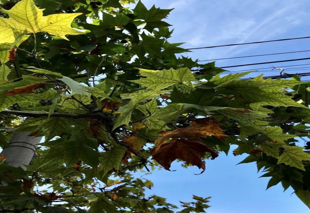 Cum va fi vremea în septembrie