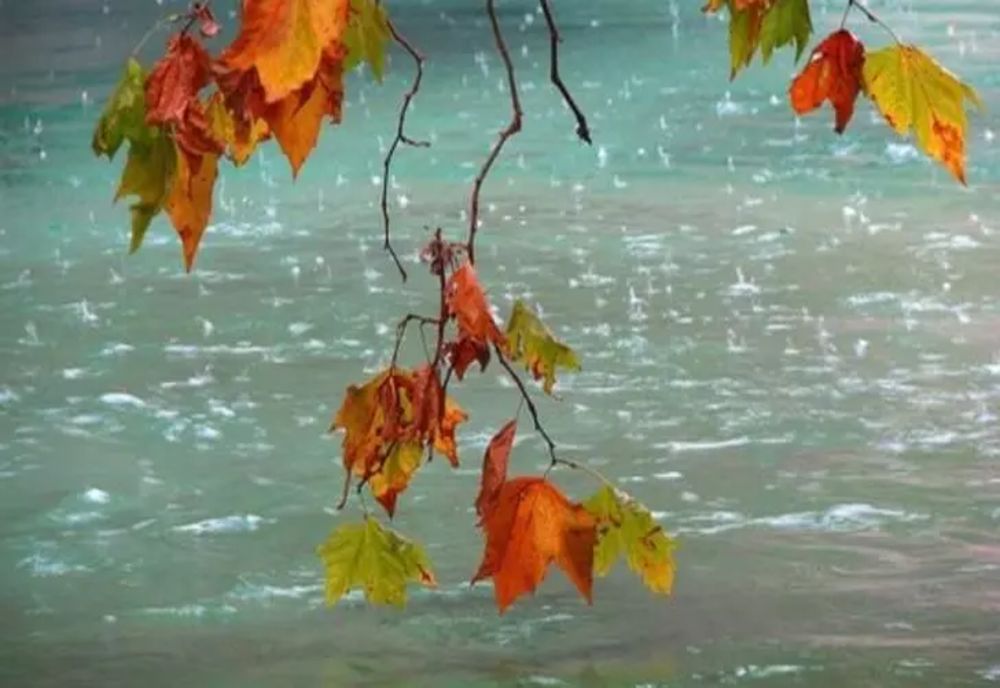 Cum va fi vremea săptămâna viitoare - Când vine gerul în România