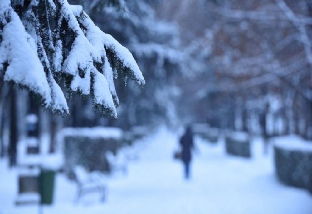 Cod Galben de viscol și ninsoare pentru județele Ialomița și Călărași