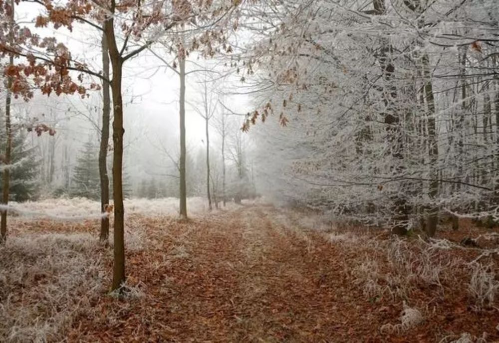 Prognoza meteo pe 4 săptămâni. Ianuarie, luna extremelor. Februarie revine la temperaturi normale