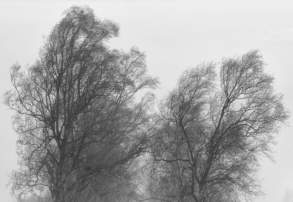 Cod galben de vânt puternic în mai multe zone din Muntenia, Transilvania și Dobrogea