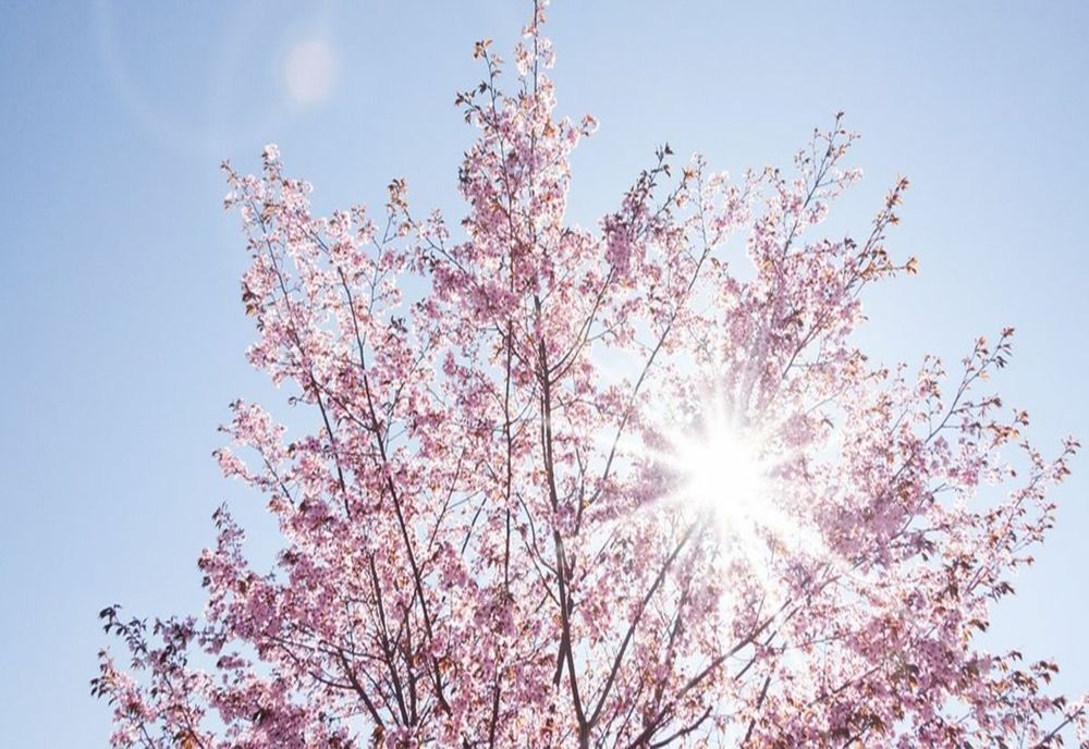 Temperaturi în creştere în cea mai mare parte a ţării. Ce zone fac excepție