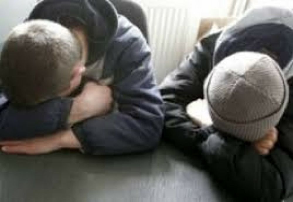 Hoții din Traian au fost prinși