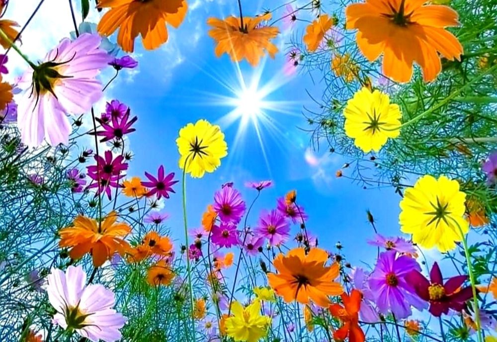 ANM - Prognoza meteo pentru următoarele două săptămâni. Temperaturi chiar și de 30 de grade