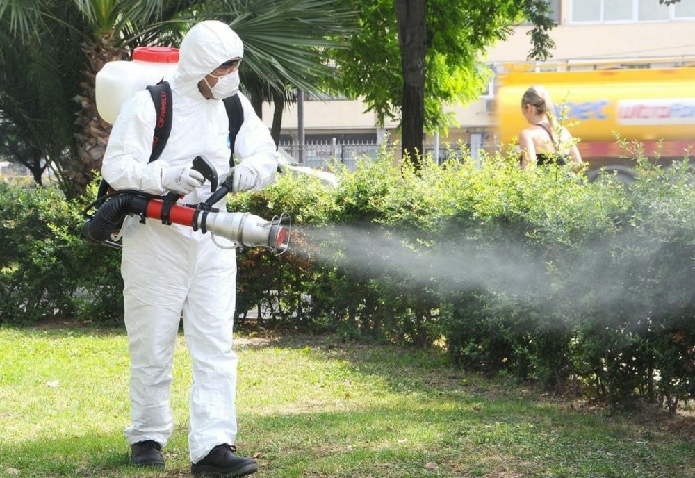 Campanie de dezinsecție în Fetești