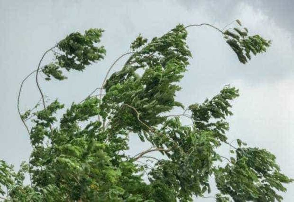 ANM: COD GALBEN DE VÂNT ÎN 8 JUDEȚE DIN ȚARĂ