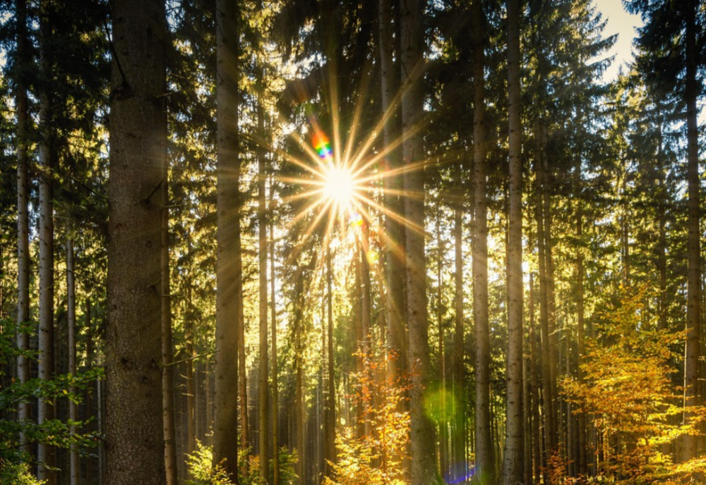 VREMEA 20 SEPTEMBRIE. TEMPERATURI RIDICATE ÎN TOATĂ ȚARA 