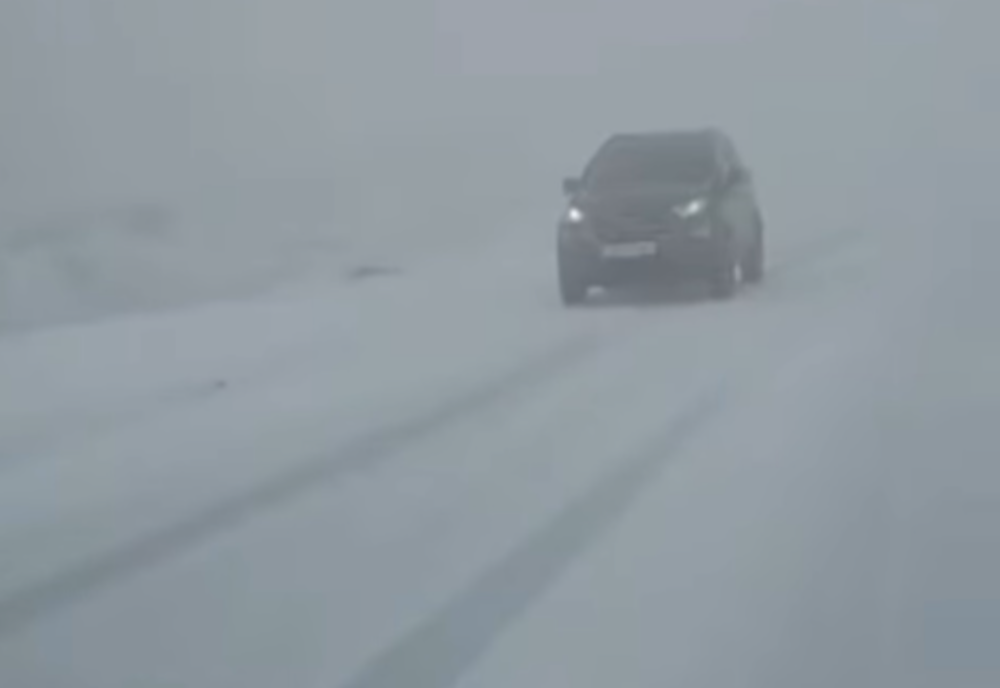 PRIMELE NINSORI DIN ACEST SEZON ȘI-AU FĂCUT APARIȚIA ÎN ZONELE MONTANE DIN ȚARĂ 