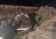 Accident cu 6 victime pe DN2A, la Andrășești. Un copil de 10 ani, decedat