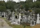 Cheltuiala cimitirului de lux, întoarsă în ultimul moment de pe ultimul drum