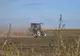 Ialomița are patru din primele zece locuri la subvenții agricole plătite de APIA