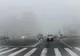 Avertizare Infotrafic: vizibilitate redusă în trafic din cauza ceții dense