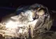 Accident grav la ieșirea din Urziceni! Doi oameni și-au pierdut viața iar alți doi au fost răniți grav