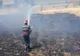 Incendiu devastator în Ialomița: 300 de hectare de miriște au ars