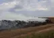      Incendiu puternic de miriște de porumb la Armănești     