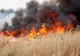 Incendii de vegetație uscată în Ialomița
