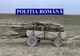 Căruțaș din Fetești, prins cu lemn furat