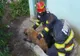Cățel salvat de pompieri dintr-o fosă septică