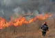 Incendiile de vegetație uscată iau amploare în Ialomița