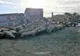 FOTO Un TIR cu peste 500 de oi s-a răsturnat în Ialomița