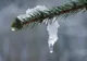 VREMEA 26 FEBRUARIE. TEMPERATURI ÎN CREȘTERE ÎN TOATĂ ȚARA