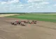AGRICULTURA ROMÂNEASCĂ, ÎN PERICOL: FERMELOR LI SE ÎNCHID ORIZONTURILE