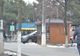 Comercianţii din Urziceni plătesc chirie de 35 ori mai mică decât zarzavagii