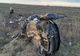Numărul victimelor din Bacău moarte în accidentul de la Urziceni a crescut