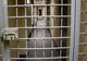 Cetățean turc încarcerat la Penitenciarul Slobozia