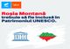 USR PLUS respinge ”ferm” retragerea dosarului Roșia Montană de la UNESCO