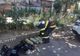 VIDEO FOTO Incendiu violent la un restaurant din Slobozia. Degajări mari de fum