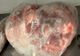 Peste 6 tone de carne congelată, depistate de ANSVSA cu termenul de valabilitate schimbat