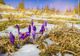 Vremea extremelor: Temperaturi de primăvară și ninsori, la final de februarie