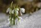 Prognoza meteo: Cod galben și portocaliu de vreme deosebit de rece, ploi, dar şi lapoviţă şi ninsoare