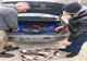 FOTO Ialomițean prins cu mașina plină cu pește fără acte