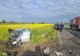 FOTO Două mașini s - au făcut praf după ce s-au ciocnit pe un drum național din Ialomița